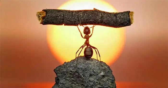 Nghị luận “Có công mài sắt có ngày nên kim”