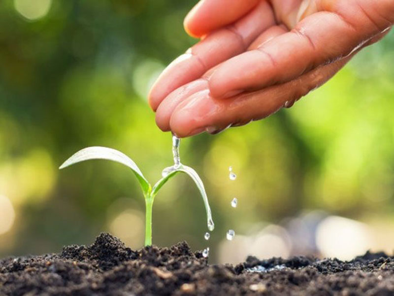 Nghị luận về ý nghĩa của lối sống cao thượng Nghị luận về ý nghĩa của lối sống cao thượng
