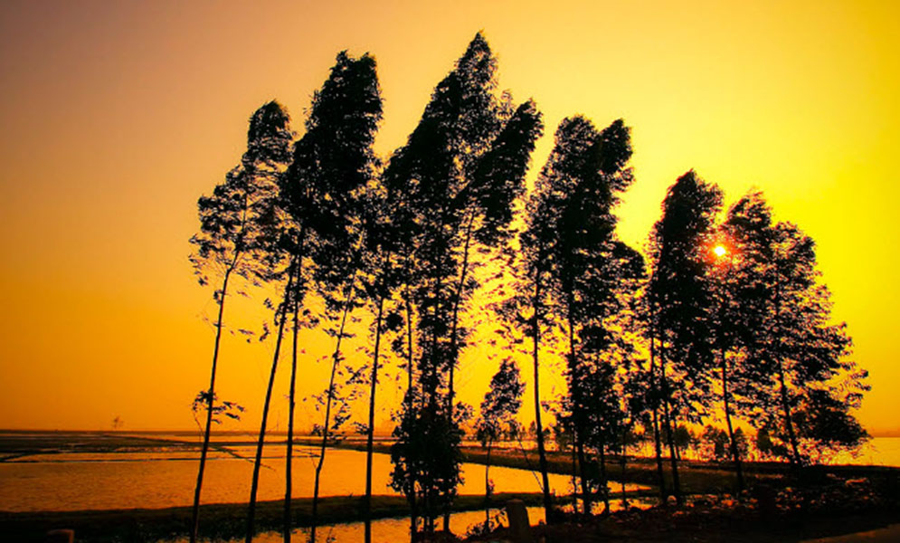 Tả cảnh quê hương trong buổi chiều hè Tả cảnh quê hương trong buổi chiều hè