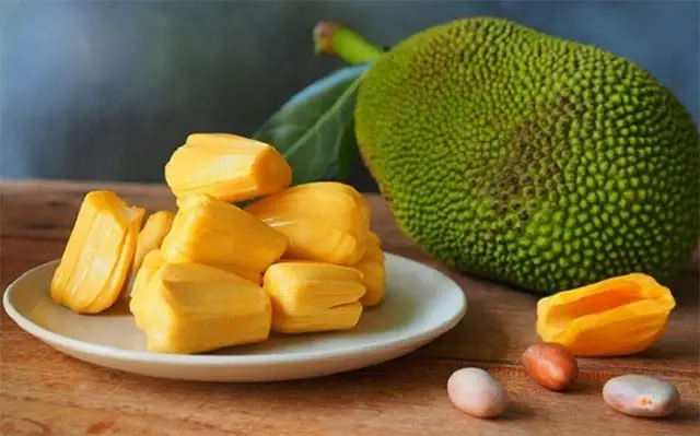 Tả quả mít - Văn mẫu lớp 5