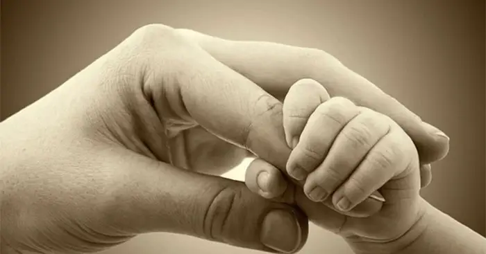 Nghị luận xã hội về tình mẫu tử